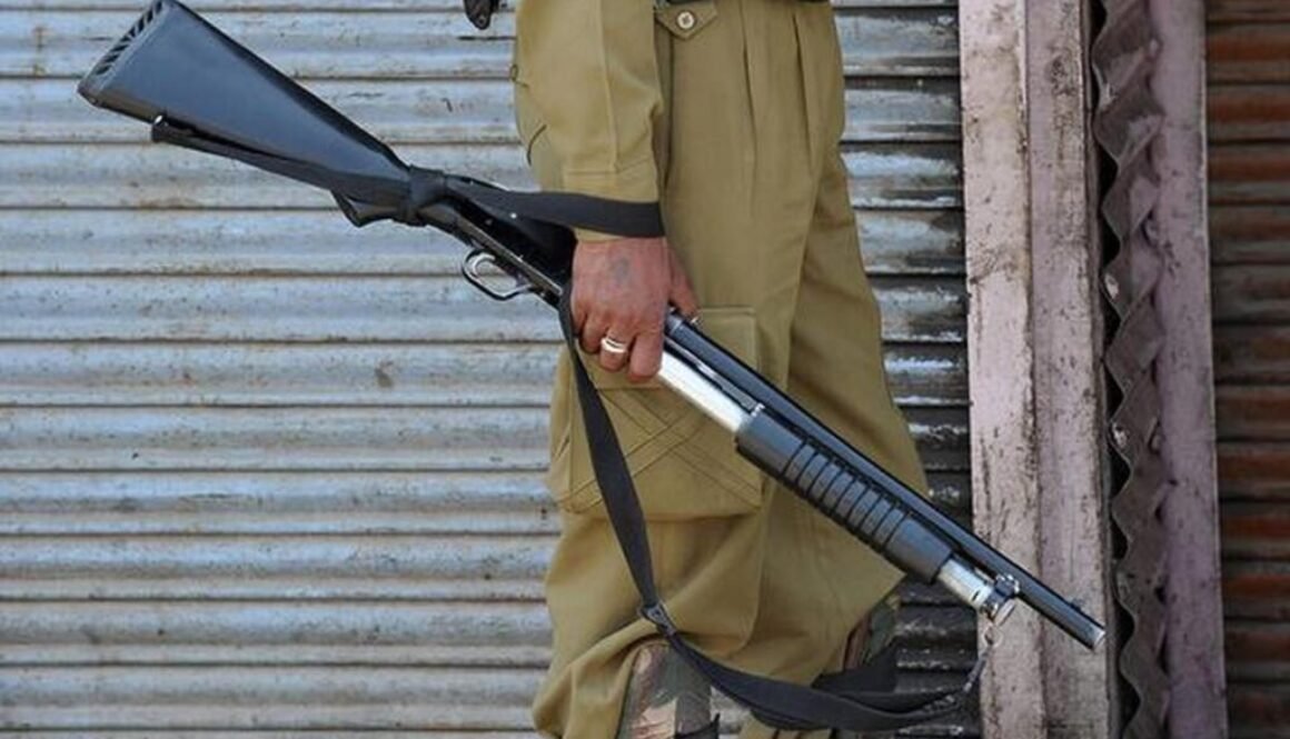 pellet gun