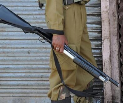 pellet gun