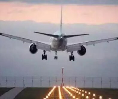 plane flight copy