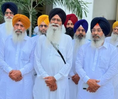 dhami team