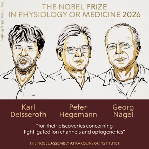 nobel prize