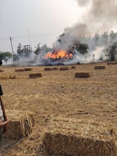 trali fire