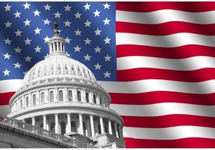 usa flag