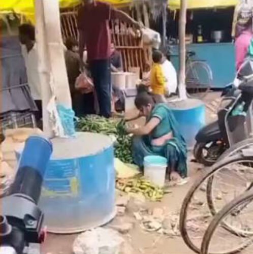 veg health